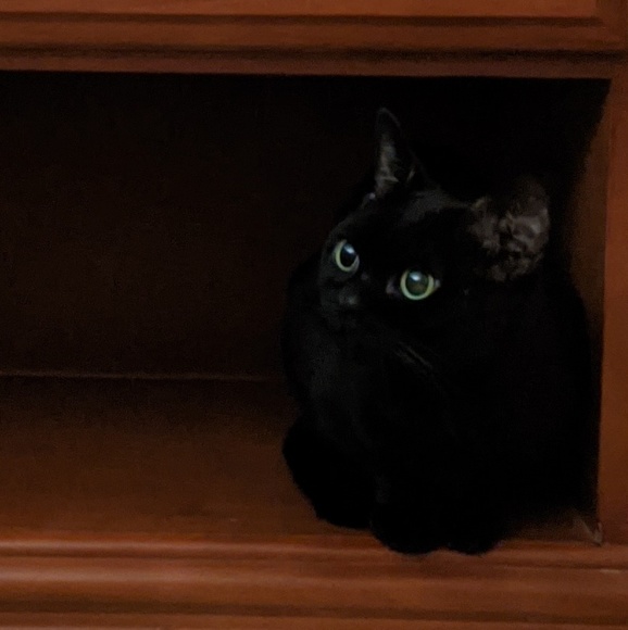 Meet your Posher, Ames - Picture 1 of 1